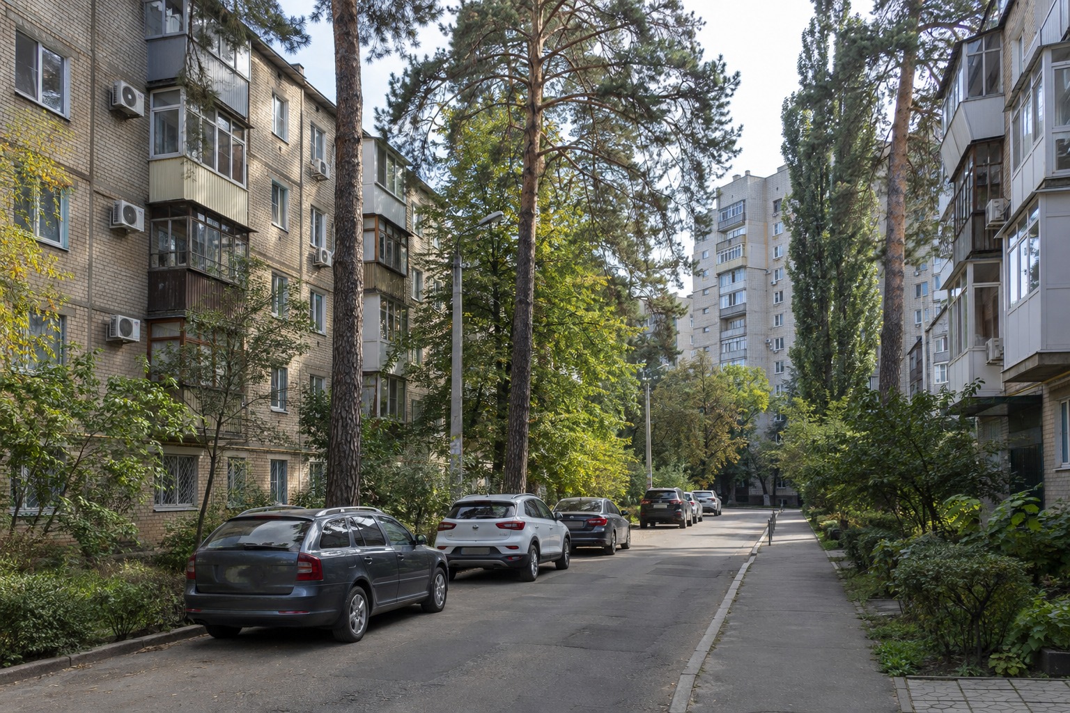 Пʼятиповерхівки та девʼятиповерхівки серед сосен, типові для Святошинського району